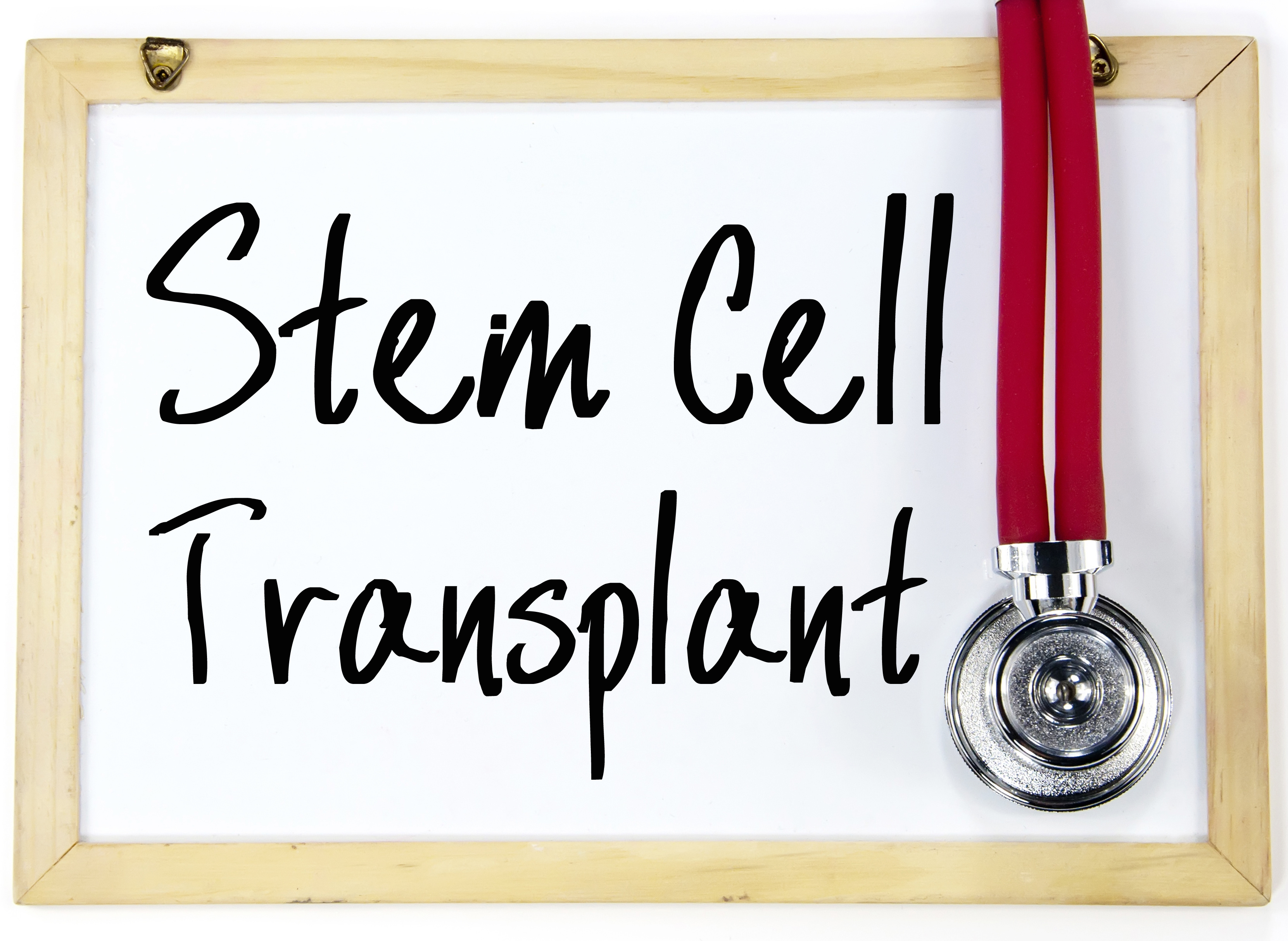 autologous stem cell transplant blog