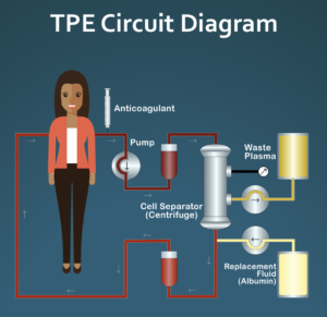 TPE Circuit Diagram